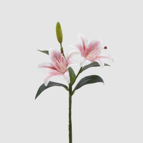 Lírio Rosa - 40cm